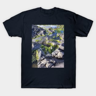 Tide Pools T-Shirt